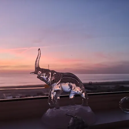 Studio, No Sea View, Public Paid Parking Apartment *