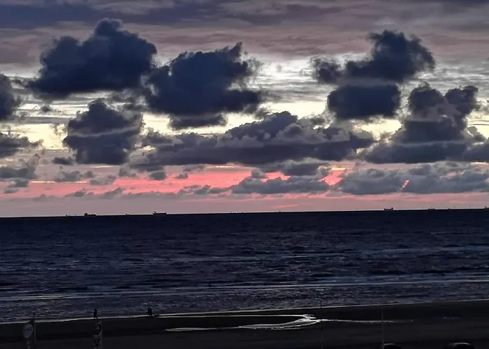 Studio, No Sea View, Public Paid Parking Appartement Zandvoort