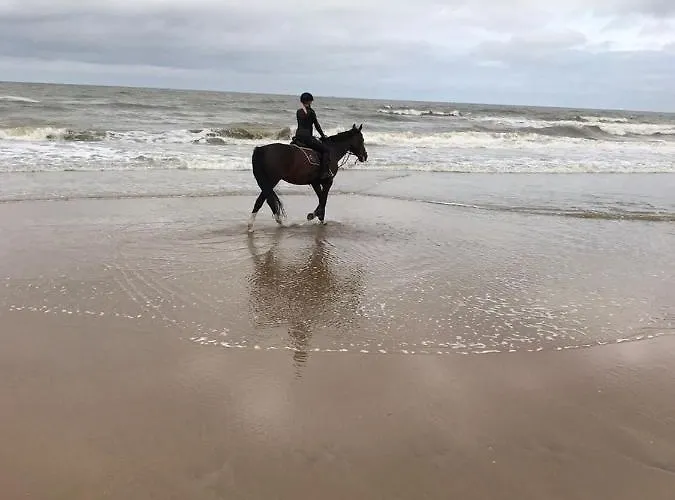 Appartement Studio, No Sea View, Public Paid Parking