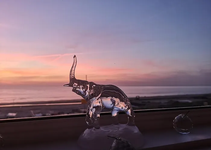 Studio, No Sea View, Public Paid Parking Appartement *