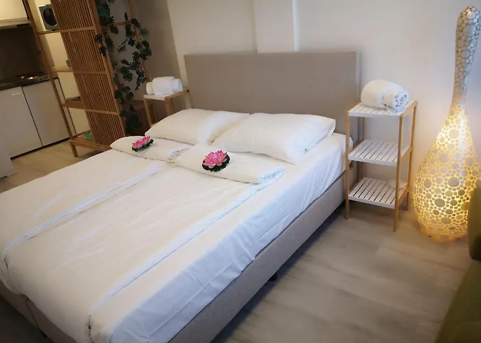 Studio, No Sea View, Public Paid Parking Appartement Zandvoort