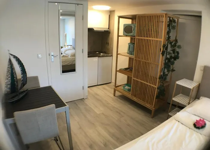 Studio, No Sea View, Public Paid Parking Appartement